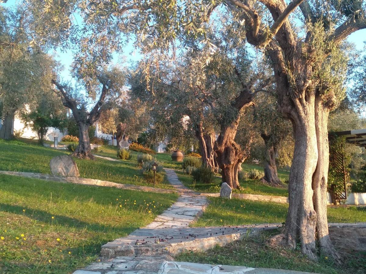 Saint Andrews Bay Villa Milina Bagian luar foto