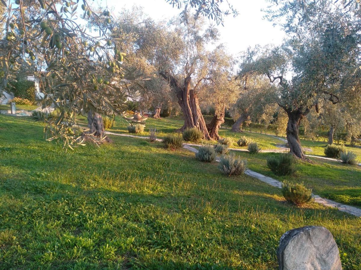 Saint Andrews Bay Villa Milina Bagian luar foto