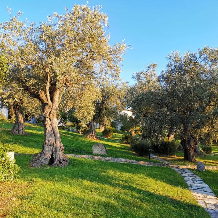 Saint Andrews Bay Villa Milina Bagian luar foto
