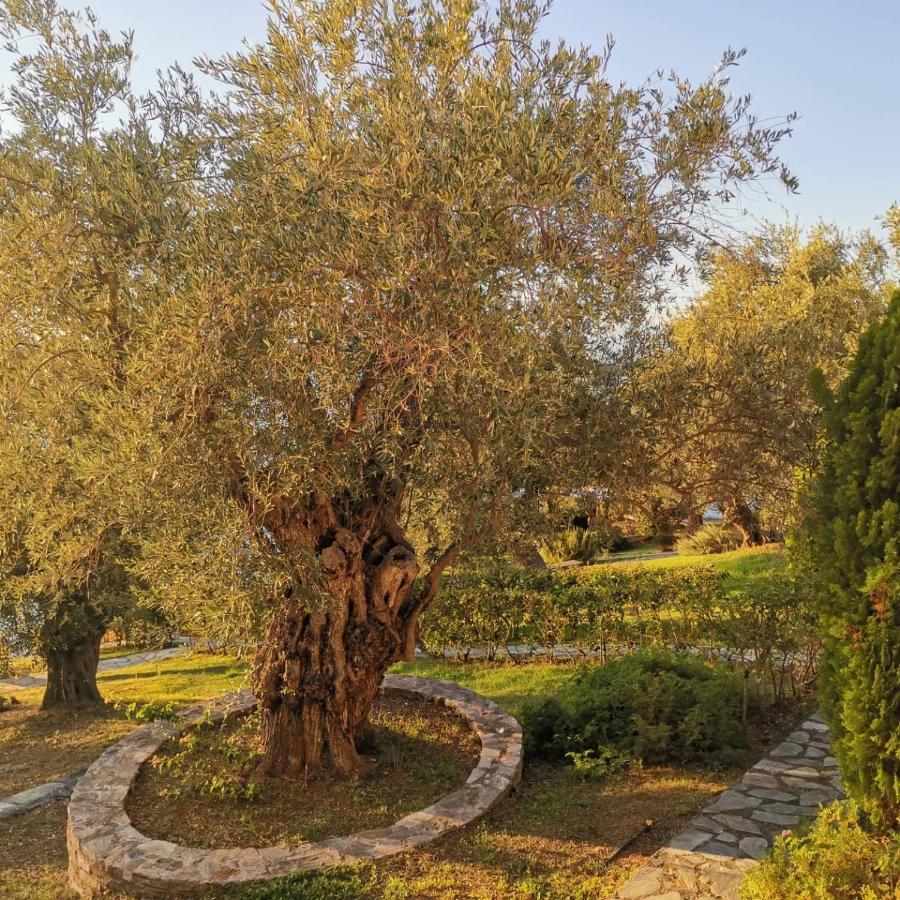 Saint Andrews Bay Villa Milina Bagian luar foto